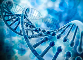 DNA/RNA- Probes & Biopolymer